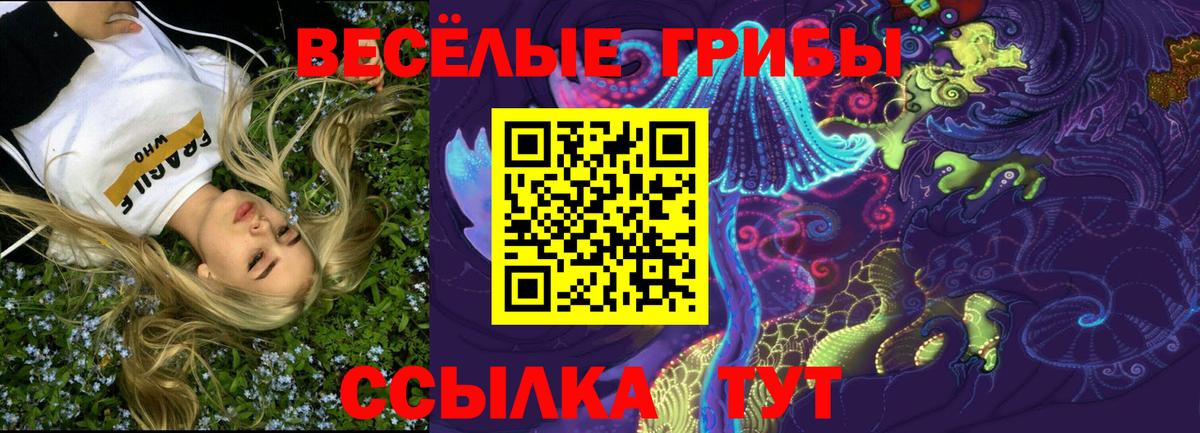 Псилоцибиновые грибы прущие грибы  Вход с VPN  Бийск  Псилоцибиновые грибы ЛСД 